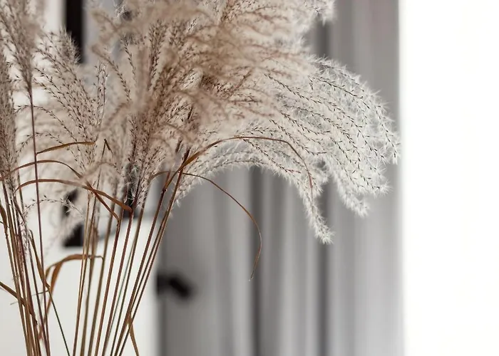 Apartman Renaissance By Reside Baltic *